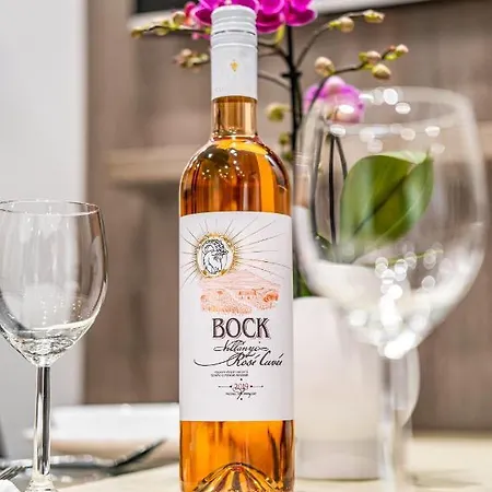 Mf Silverlake Wellness Siófok